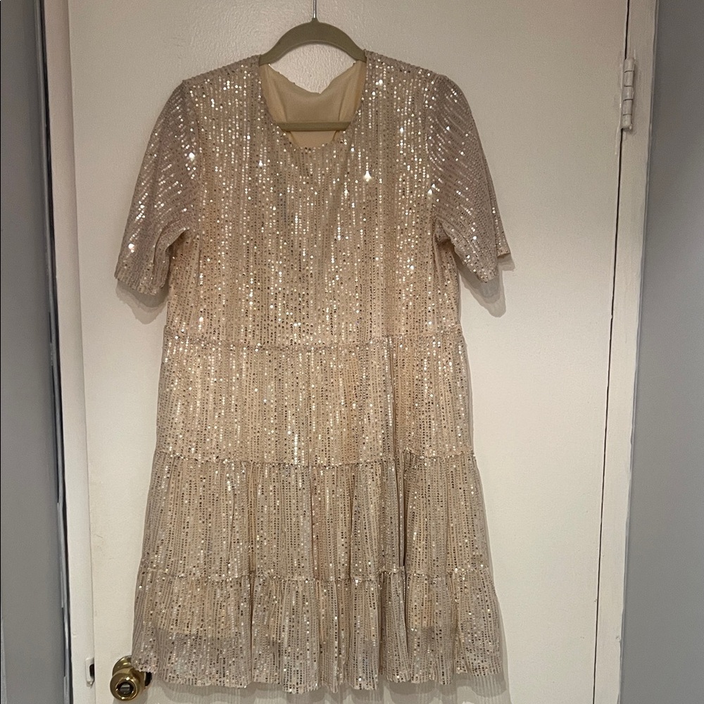 Sequin Short Sleeve Dress